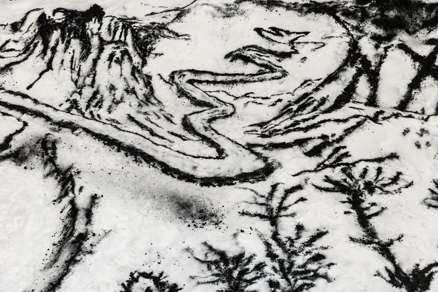 obra Monitor Yin Yang