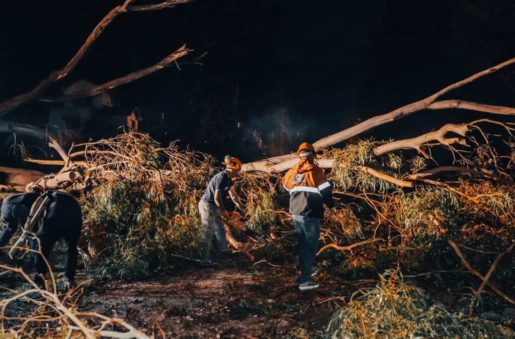 temporal 3 de febrero de 2026