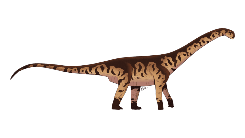 Bicharracosaurus dionidei