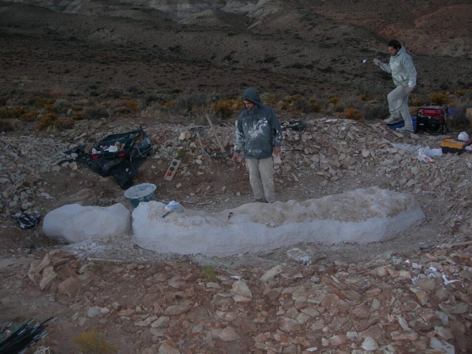 trabajo de campo