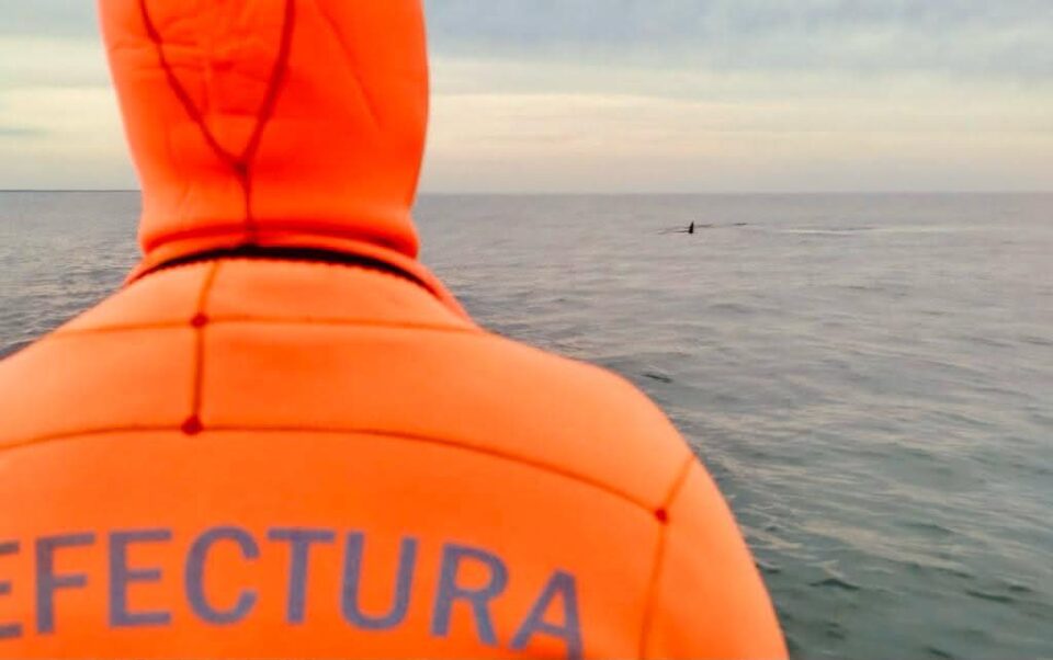 Prefectura