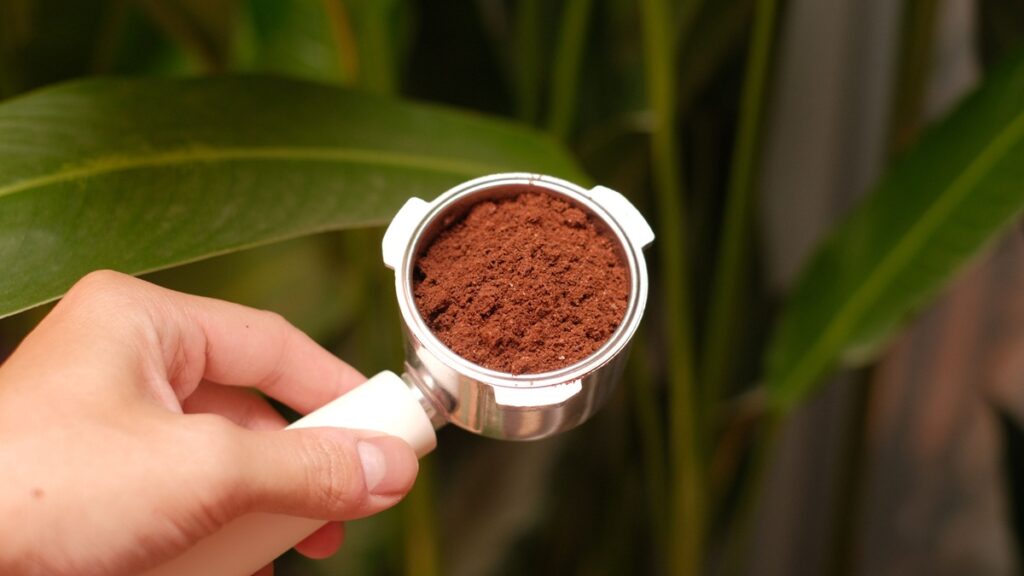borra de café