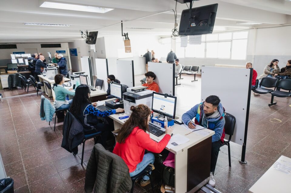 licencias de conducir profesional