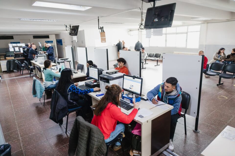 licencias de conducir