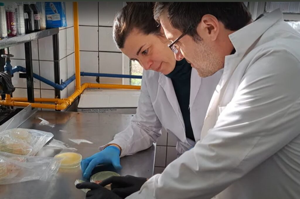 biomateriales